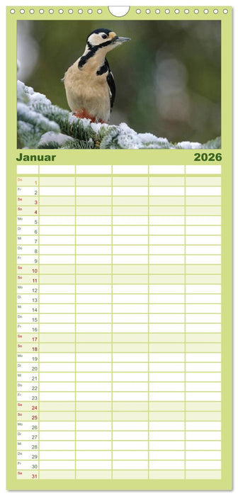 Heimische Gartenvögel (CALVENDO Familienplaner 2026)