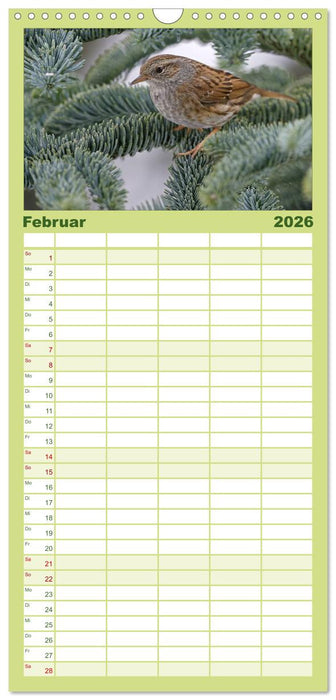 Heimische Gartenvögel (CALVENDO Familienplaner 2026)