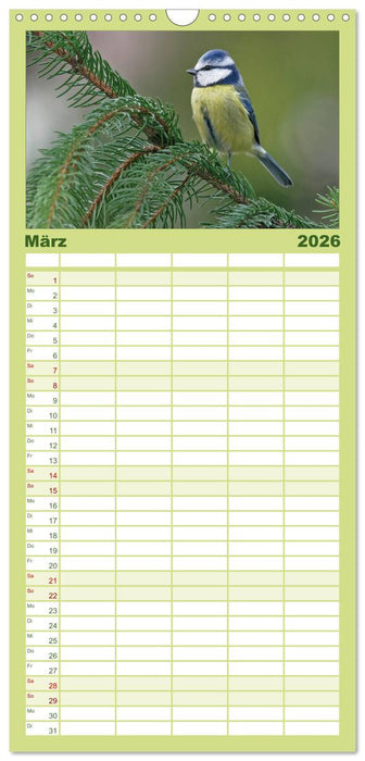 Heimische Gartenvögel (CALVENDO Familienplaner 2026)