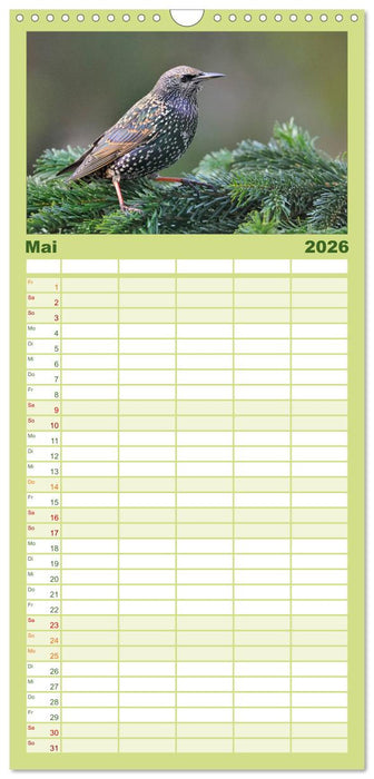 Heimische Gartenvögel (CALVENDO Familienplaner 2026)