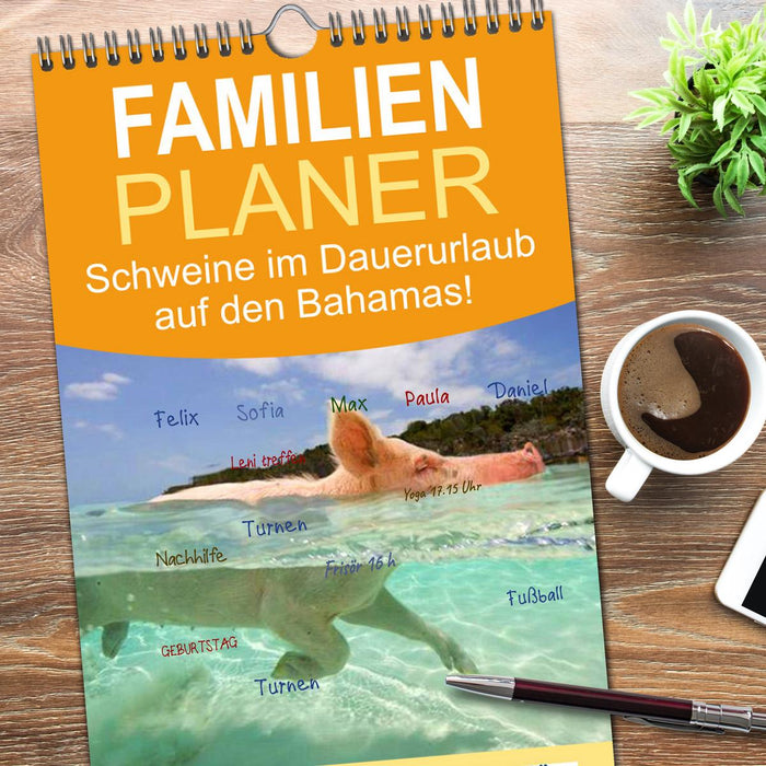 Schweine im Dauerurlaub auf den Bahamas! (CALVENDO Familienplaner 2026)