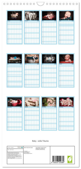 Baby - süße Träume (CALVENDO Familienplaner 2026)