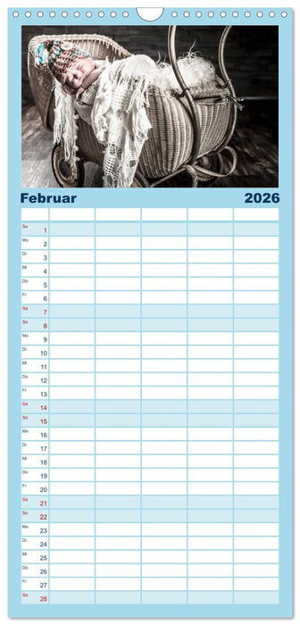 Baby - süße Träume (CALVENDO Familienplaner 2026)