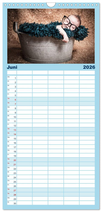 Baby - süße Träume (CALVENDO Familienplaner 2026)