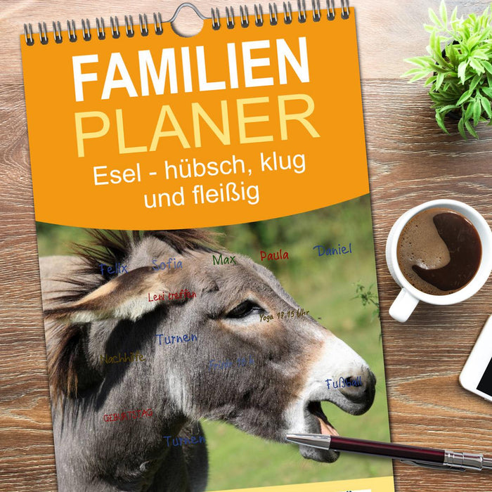 Esel - hübsch, klug und fleißig (CALVENDO Familienplaner 2026)