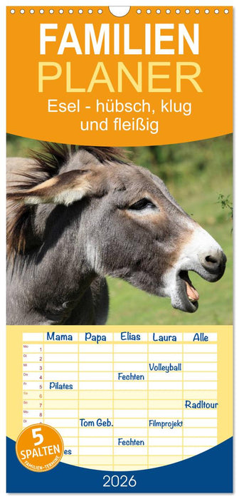 Esel - hübsch, klug und fleißig (CALVENDO Familienplaner 2026)