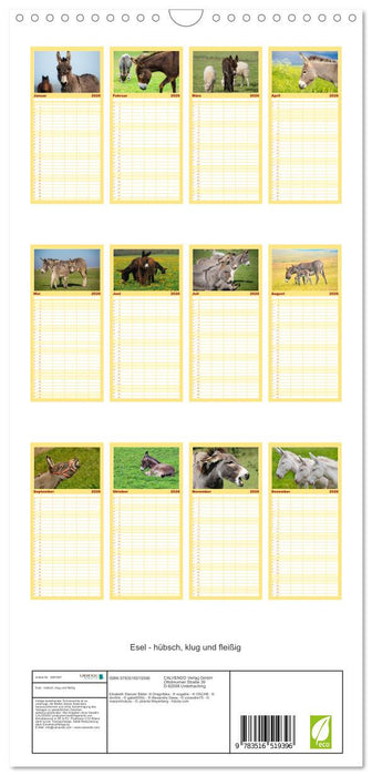 Esel - hübsch, klug und fleißig (CALVENDO Familienplaner 2026)