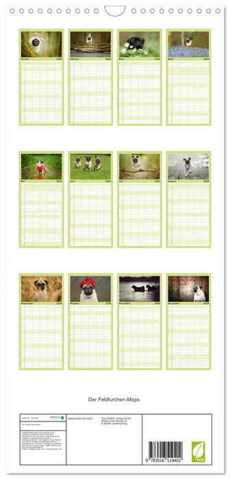 Der Feldfurchen-Mops (CALVENDO Familienplaner 2026)