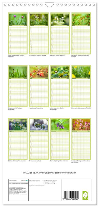 WILD, ESSBAR UND GESUND Essbare Wildpflanzen (CALVENDO Familienplaner 2026)