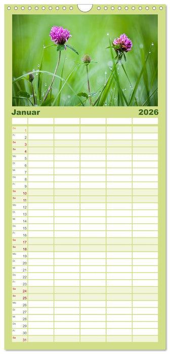 WILD, ESSBAR UND GESUND Essbare Wildpflanzen (CALVENDO Familienplaner 2026)