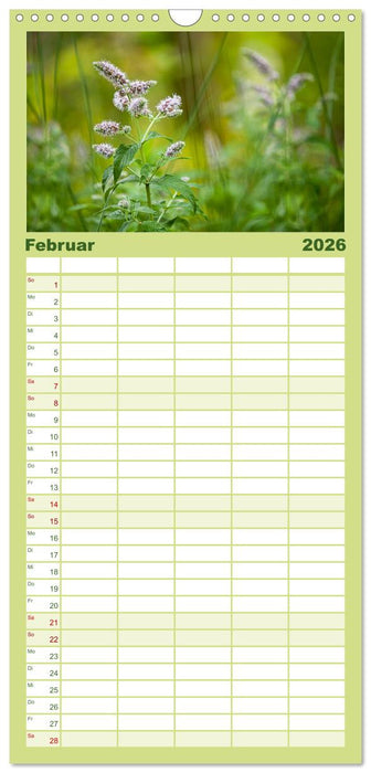 WILD, ESSBAR UND GESUND Essbare Wildpflanzen (CALVENDO Familienplaner 2026)