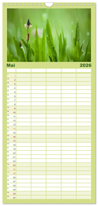 WILD, ESSBAR UND GESUND Essbare Wildpflanzen (CALVENDO Familienplaner 2026)