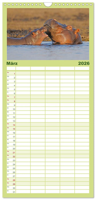 Flusspferde Magie des Augenblicks - Hippos in Afrika (CALVENDO Familienplaner 2026)