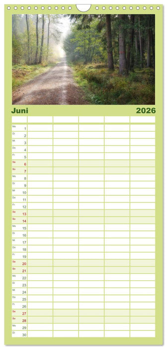 Waldkalender (CALVENDO Familienplaner 2026)