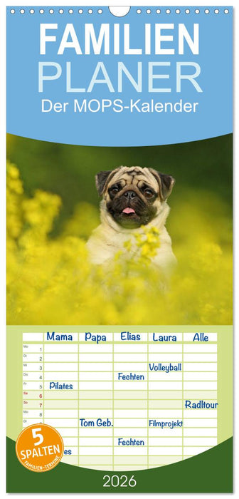 Der MOPS-Kalender (CALVENDO Familienplaner 2026)