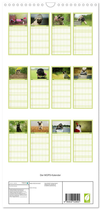 Der MOPS-Kalender (CALVENDO Familienplaner 2026)