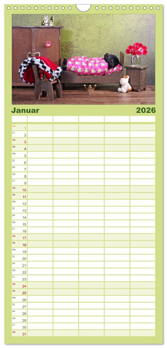 Der MOPS-Kalender (CALVENDO Familienplaner 2026)