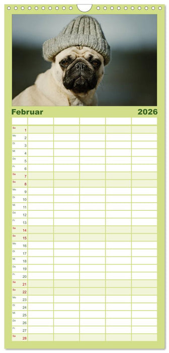 Der MOPS-Kalender (CALVENDO Familienplaner 2026)
