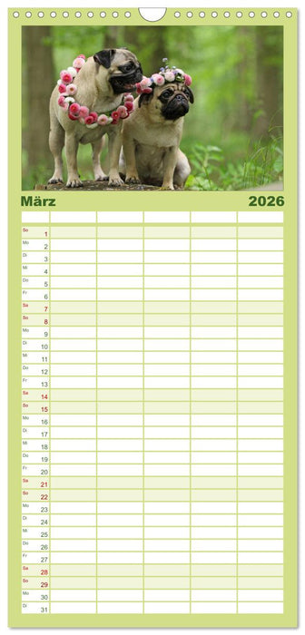 Der MOPS-Kalender (CALVENDO Familienplaner 2026)
