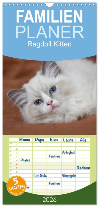 Ragdoll Kitten (CALVENDO Familienplaner 2026)
