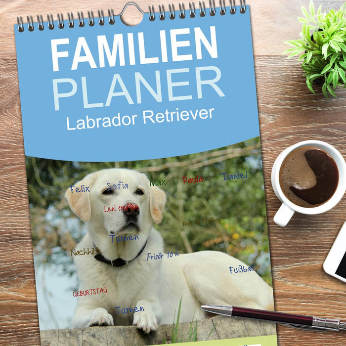 Labrador Retriever 2026 (CALVENDO Familienplaner 2026)