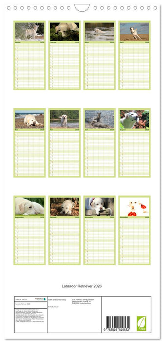 Labrador Retriever 2026 (CALVENDO Familienplaner 2026)