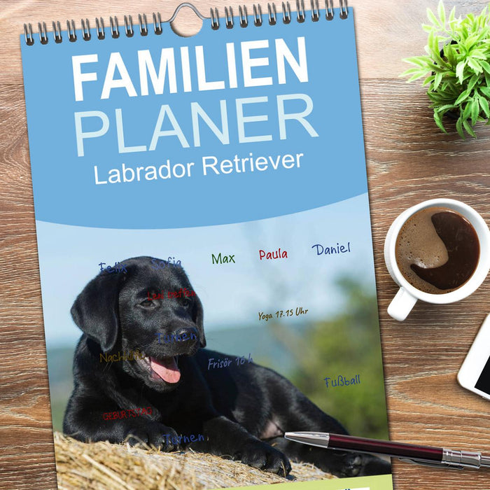 Labrador Retriever 2026 (CALVENDO Familienplaner 2026)