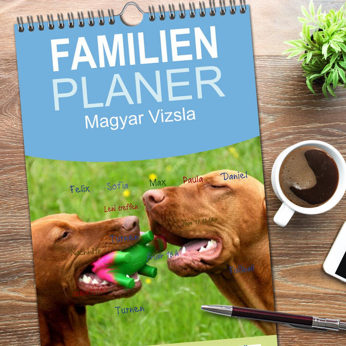 Magyar Vizsla (CALVENDO Familienplaner 2026)