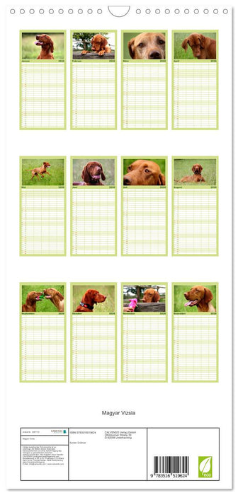 Magyar Vizsla (CALVENDO Familienplaner 2026)