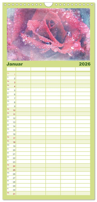 Rosenduft Shabby Chic Style (CALVENDO Familienplaner 2026)