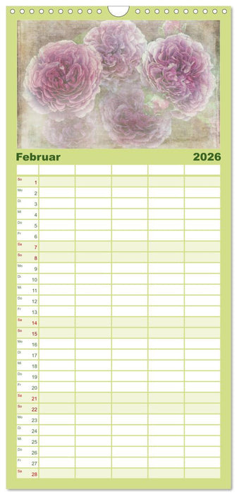 Rosenduft Shabby Chic Style (CALVENDO Familienplaner 2026)