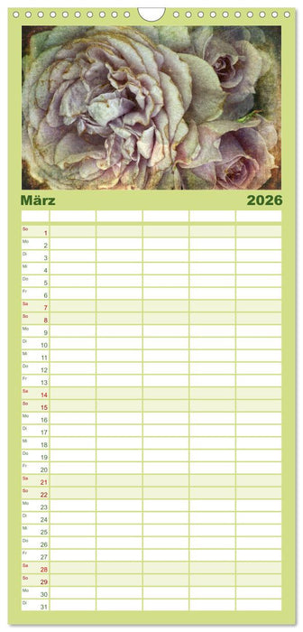 Rosenduft Shabby Chic Style (CALVENDO Familienplaner 2026)
