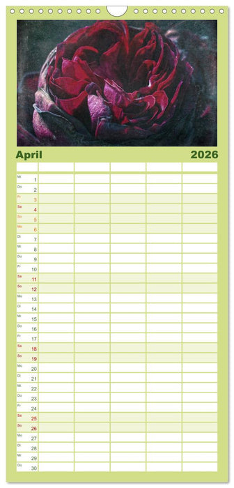 Rosenduft Shabby Chic Style (CALVENDO Familienplaner 2026)