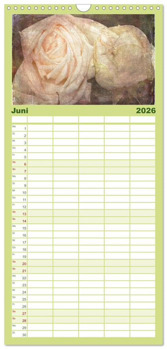 Rosenduft Shabby Chic Style (CALVENDO Familienplaner 2026)