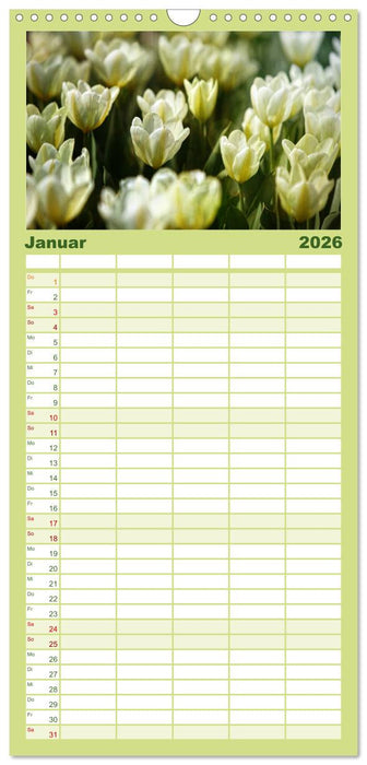 12 Farben Kunst und Küche (CALVENDO Familienplaner 2026)