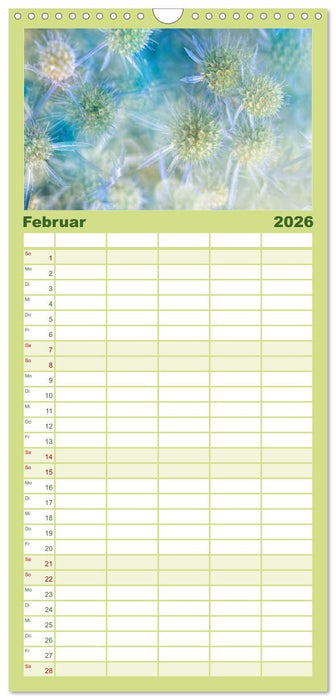 12 Farben Kunst und Küche (CALVENDO Familienplaner 2026)