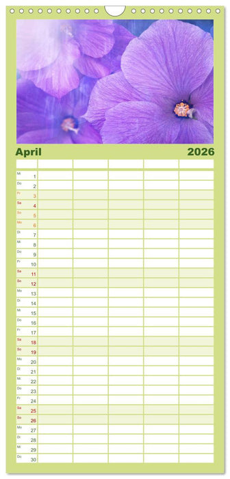 12 Farben Kunst und Küche (CALVENDO Familienplaner 2026)