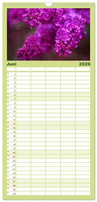 12 Farben Kunst und Küche (CALVENDO Familienplaner 2026)