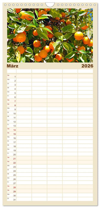 Griechische Insel Kos (CALVENDO Familienplaner 2026)