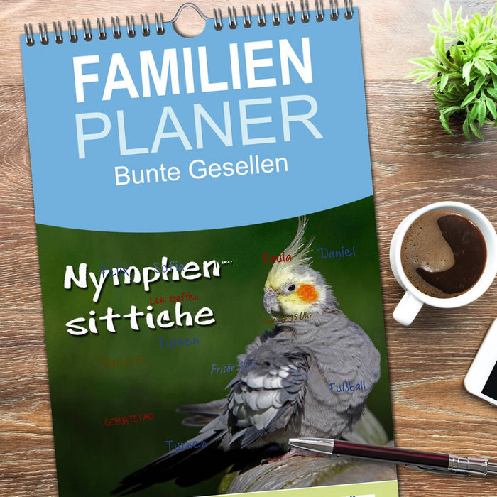Nymphensittiche (CALVENDO Familienplaner 2026)
