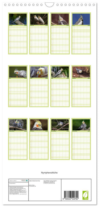 Nymphensittiche (CALVENDO Familienplaner 2026)