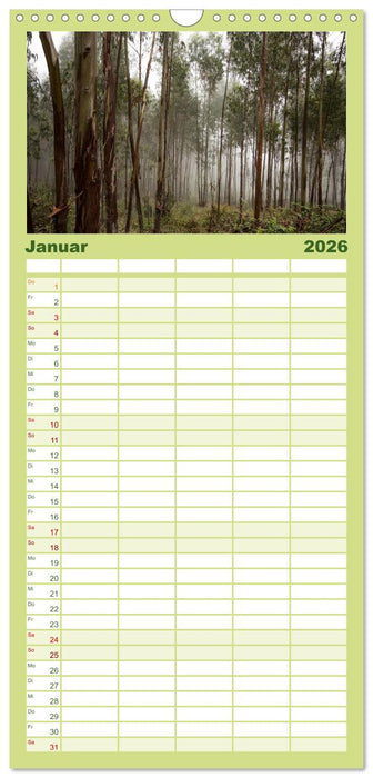 Wald (CALVENDO Familienplaner 2026)