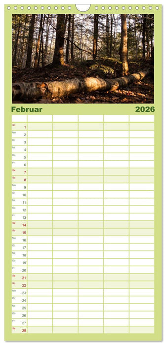 Wald (CALVENDO Familienplaner 2026)