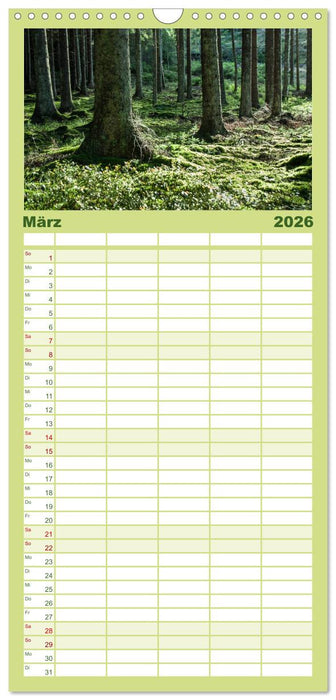 Wald (CALVENDO Familienplaner 2026)