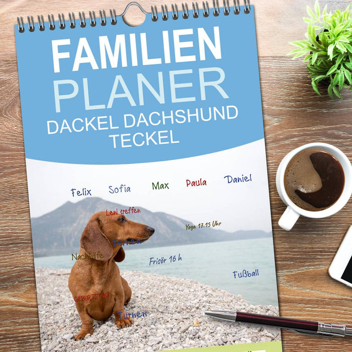 DACKEL DACHSHUND TECKEL 2026 (CALVENDO Familienplaner 2026)