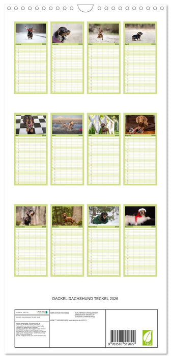 DACKEL DACHSHUND TECKEL 2026 (CALVENDO Familienplaner 2026)