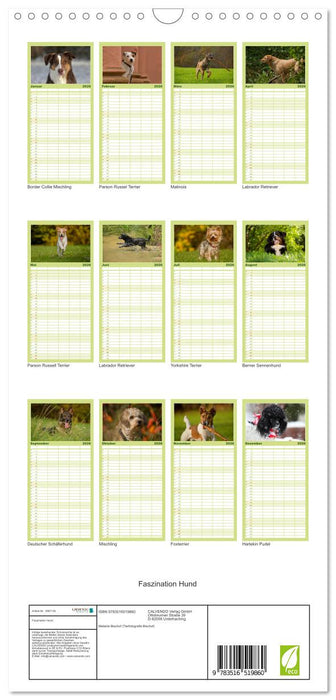 Faszination Hund (CALVENDO Familienplaner 2026)