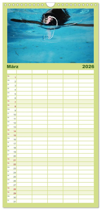 Pinguine 2026 (CALVENDO Familienplaner 2026)