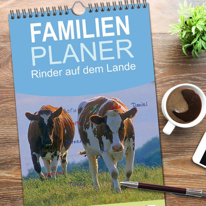 Rinder auf dem Lande (CALVENDO Familienplaner 2026)
