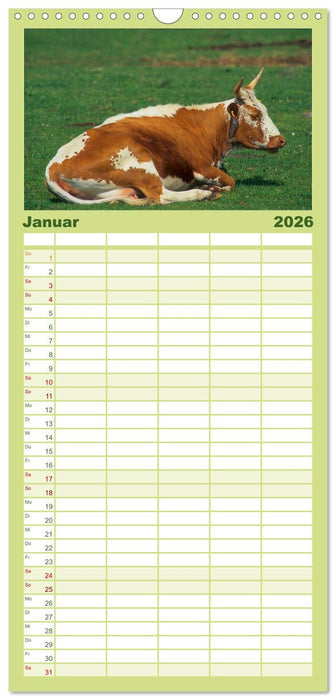 Rinder auf dem Lande (CALVENDO Familienplaner 2026)